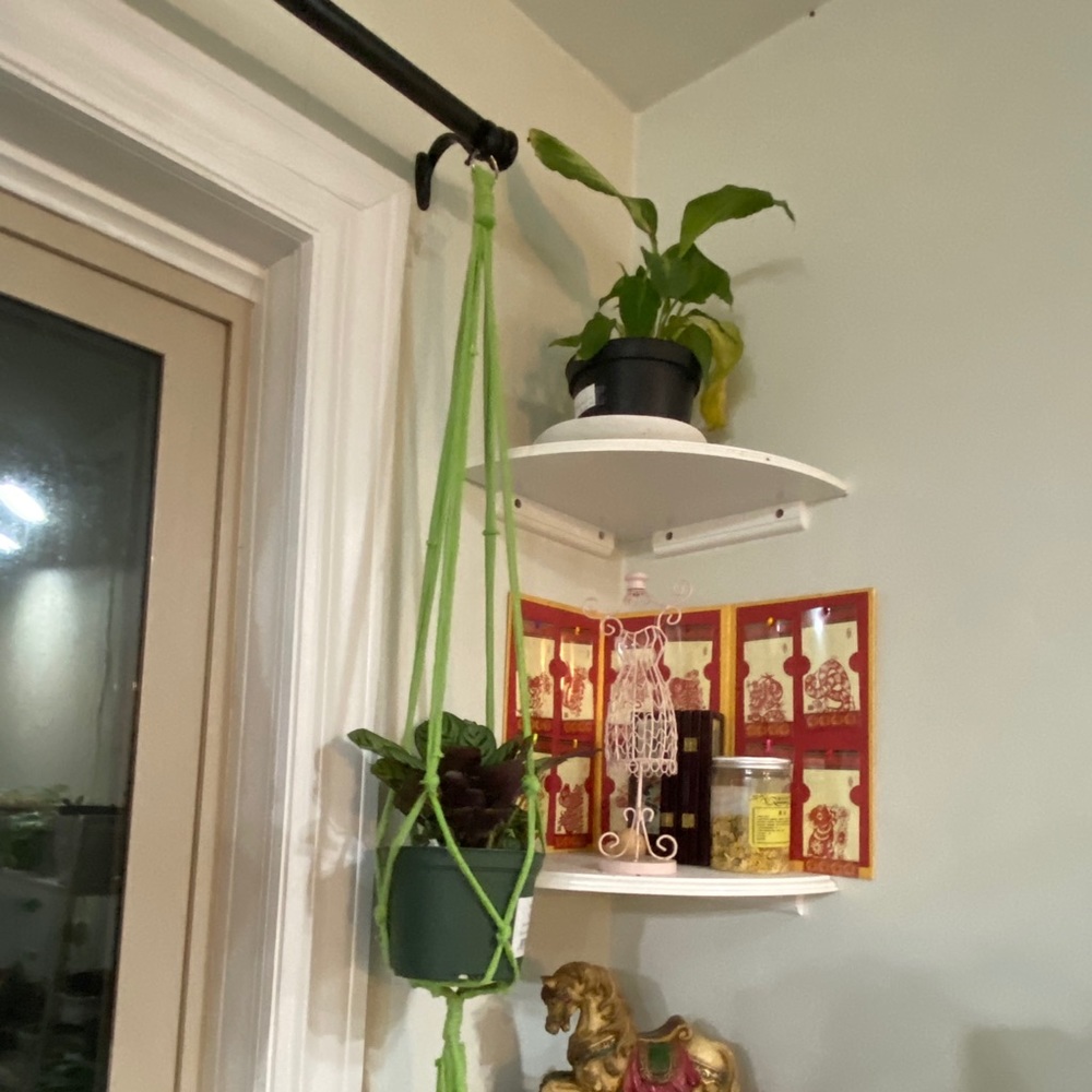 Plant hanger